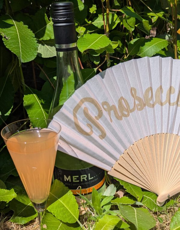 Rückblick Prosecco Cup